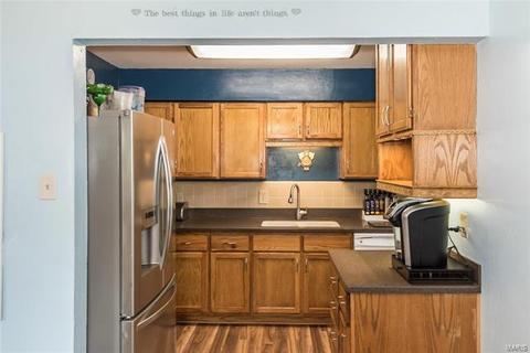 229 E Ripa Ave, Saint Louis, MO 63125 photo 9