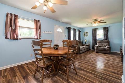 229 E Ripa Ave, Saint Louis, MO 63125 photo 8