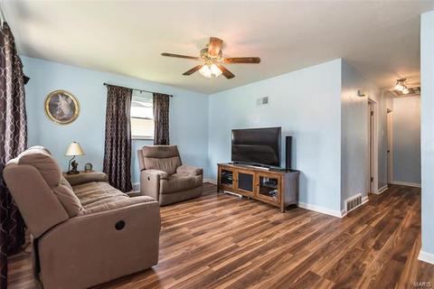 229 E Ripa Ave, Saint Louis, MO 63125 photo 3