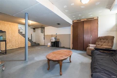 229 E Ripa Ave, Saint Louis, MO 63125 photo 19