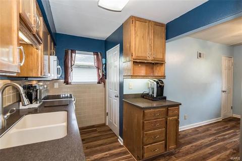 229 E Ripa Ave, Saint Louis, MO 63125 photo 12