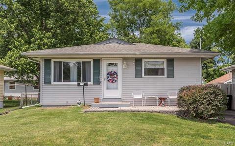 229 E Ripa Ave, Saint Louis, MO 63125 photo 1