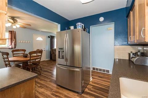 229 E Ripa Ave, Saint Louis, MO 63125 photo 11