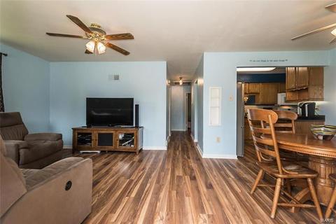 229 E Ripa Ave, Saint Louis, MO 63125 photo 2