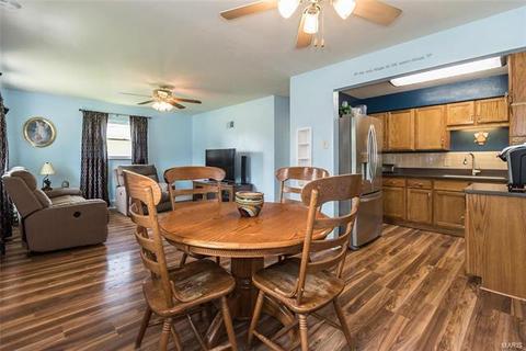 229 E Ripa Ave, Saint Louis, MO 63125 photo 7