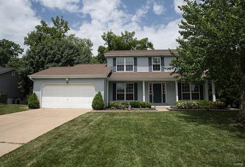 733 Carriage Trl, O'fallon, MO 63368 photo 25