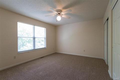 733 Carriage Trl, O'fallon, MO 63368 photo 17