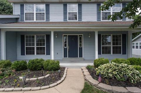 733 Carriage Trl, O'fallon, MO 63368 photo 22