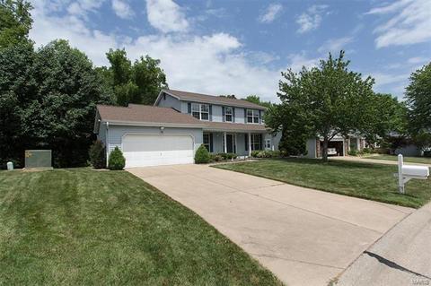 733 Carriage Trl, O'fallon, MO 63368 photo 24
