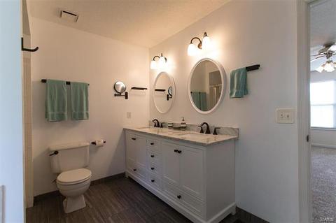733 Carriage Trl, O'fallon, MO 63368 photo 16