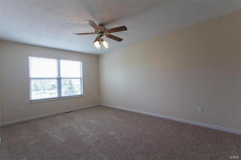 733 Carriage Trl, O'fallon, MO 63368 photo 13