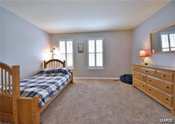 889 Cypress Trl, O'fallon, MO 63368 photo 22