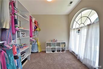 889 Cypress Trl, O'fallon, MO 63368 photo 20