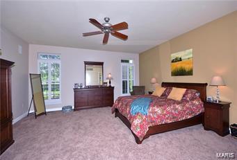 889 Cypress Trl, O'fallon, MO 63368 photo 13