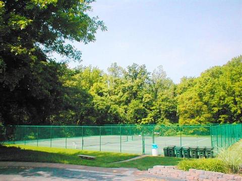 965 Barcroft Woods Dr, Manchester, MO 63021 photo 29