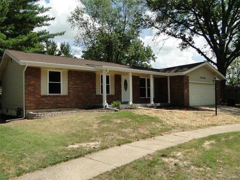 1212 Blackwatch Dr, Manchester, MO 63021 photo 1