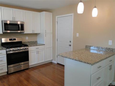 1212 Blackwatch Dr, Manchester, MO 63021 photo 4