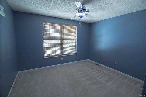 2038 Moondance Ct, O'fallon, MO 63368 photo 24