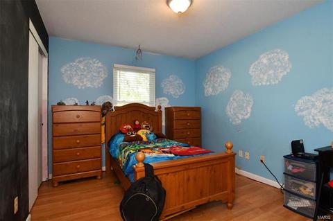 311 Linda Ln, O'fallon, MO 63366 photo 12