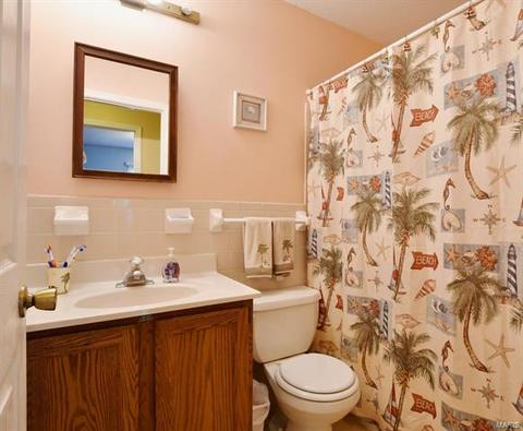311 Linda Ln, O'fallon, MO 63366 photo 13