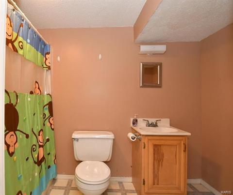 311 Linda Ln, O'fallon, MO 63366 photo 20