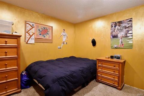 311 Linda Ln, O'fallon, MO 63366 photo 17