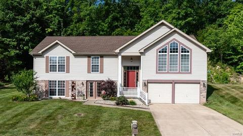 741 Emerald Oaks Ct, Eureka, MO 63025 photo 1