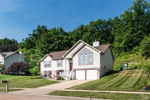 741 Emerald Oaks Ct, Eureka, MO 63025 photo 28