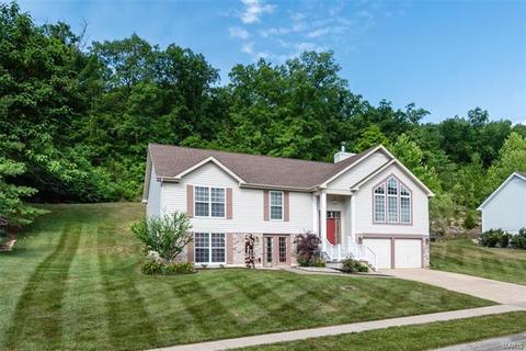 741 Emerald Oaks Ct, Eureka, MO 63025 photo 29