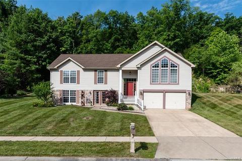 741 Emerald Oaks Ct, Eureka, MO 63025 photo 27