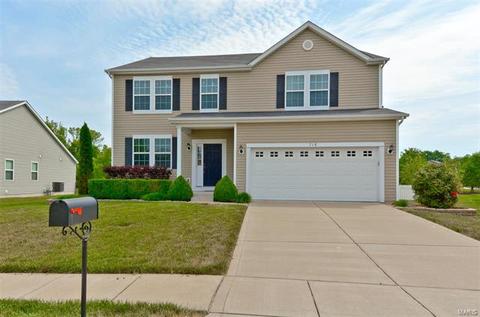 718 Ashton Way Cir, Eureka, MO 63025 photo 20