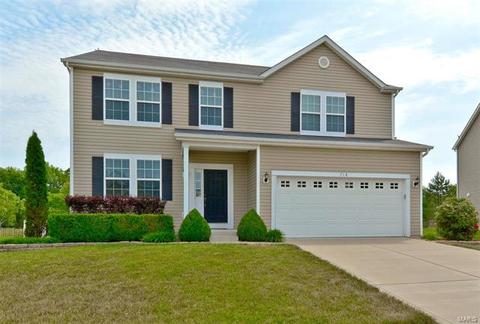 718 Ashton Way Cir, Eureka, MO 63025 photo 1