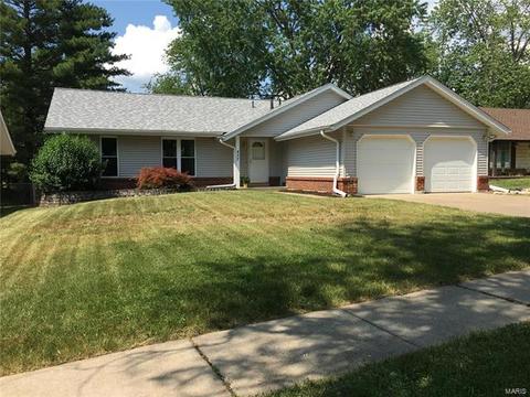 437 Madrina, Ballwin, MO 63021 photo 1