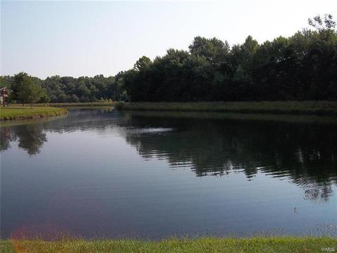 6 Statesman Ct, O'fallon, MO 63368 photo 37