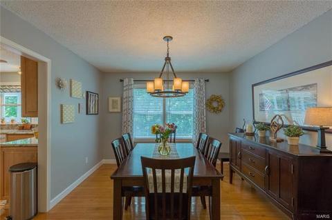 911 Totem Woods Ct, Manchester, MO 63021 photo 8