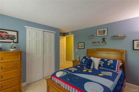 911 Totem Woods Ct, Manchester, MO 63021 photo 27