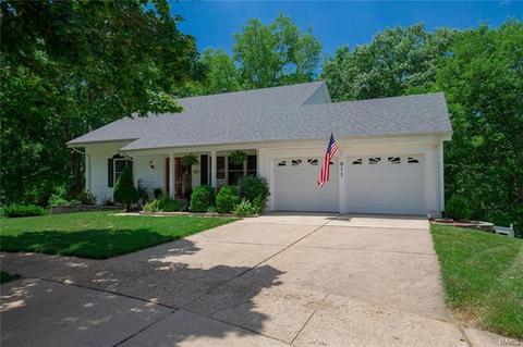 911 Totem Woods Ct, Manchester, MO 63021 photo 55