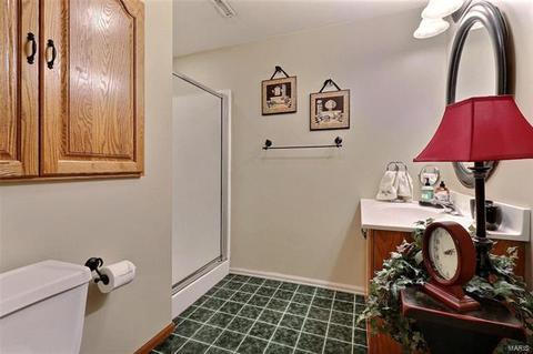 426 Alverston Ct, Ballwin, MO 63021 photo 25