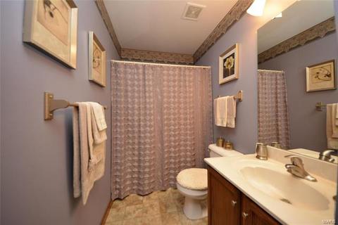 8 Tinsmith Ct, O'fallon, MO 63366 photo 23