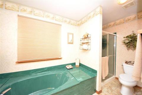 8 Tinsmith Ct, O'fallon, MO 63366 photo 19