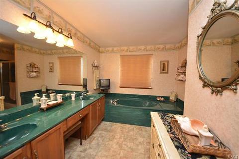 8 Tinsmith Ct, O'fallon, MO 63366 photo 18