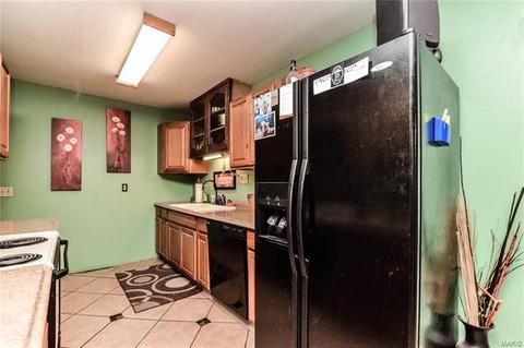 502 Danny, O'fallon, MO 63366 photo 9