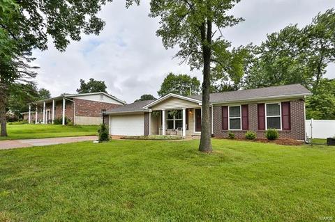 303 Warwick Ln, Manchester, MO 63021 photo 1