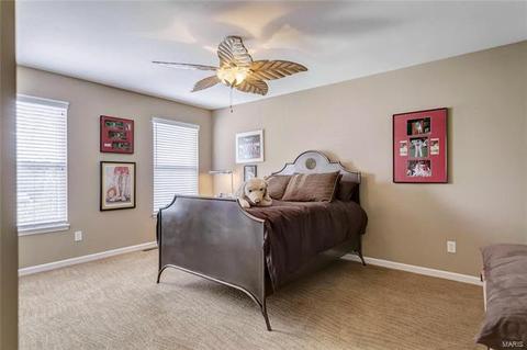 3010 Brook Hollow Dr, O'fallon, MO 63366 photo 47