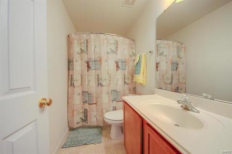 953 Daffodil Rdg, O'fallon, MO 63366 photo 30