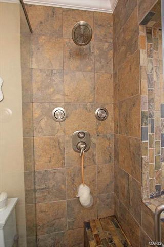16 E Cedar Ave, Saint Louis, MO 63119 photo 36
