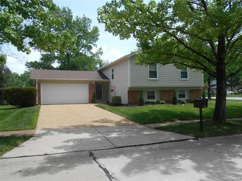954 Oakfield Dr, Ballwin, MO 63021 photo 34