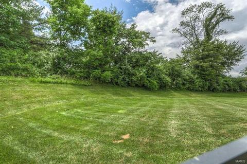 54 Autumn Way Ct, Eureka, MO 63025 photo 40