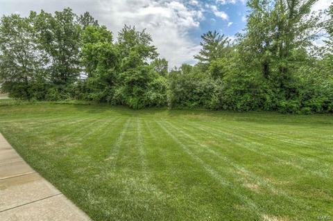 54 Autumn Way Ct, Eureka, MO 63025 photo 41