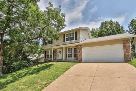 512 Echo Hill Ct, Ballwin, MO 63021 photo 4